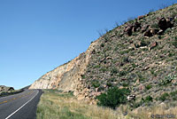 Gray-banded Kingsnake habitat