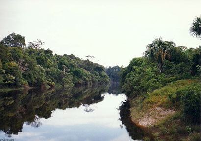 Indian Rock Python habitat