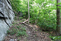 Eastern Wormsnake Habitat