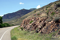 Mottled Rock Rattlesnake habitat