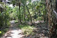 Southern Black Racer habitat