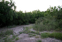 Great Plains Ratsnake habitat