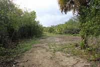 Eastern Ratsnake habitat