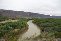 Big Bend Slider habitat