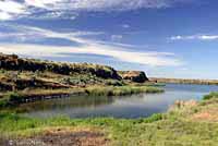 Rocky Mountain Toad Breeding Habitat