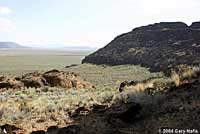 Nevada Side-blotched Lizard habitat