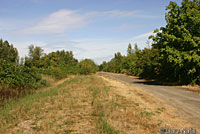 Red-spotted Gartersnake habitat