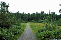 Northwestern Gartersnake habitat