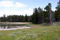 Wandering Gartersnake habitat