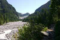 Northwestern Gartersnake habitat