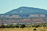 Jemez Mountains Salamander habitat