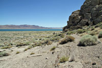 Great Basin Rattlesnake habitat