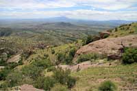 Hernandez's Short-horned Lizard habitat