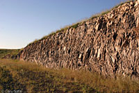 Texas Crevice Spiny Lizard habitat