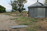 Northern Side-blotched Lizard Habitat