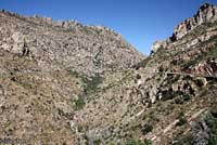 Tiger Rattlesnake habitat