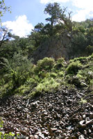 Banded Rock Rattlesnake habitat