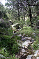 Banded Rock Rattlesnake habitat