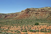 Prairie Rattlesnake habitat