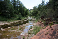 Wandering Gartersnake habitat