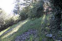 San Gabriel Mountains Slender Salamander Habitat