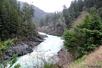 Del Norte Salamander Habitat