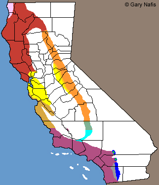Ensatina California Range Map