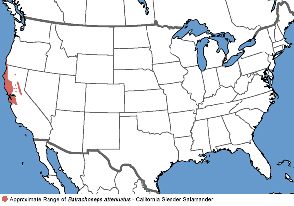 Full Species Range Map