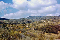 california kingsnake habitat