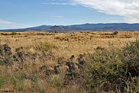 great basin rattlesnake habitat