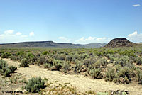 great basin rattlesnake habitat