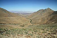 Mohave Glossy Snake Habitat