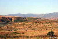 northern pacific rattlesnake habitat