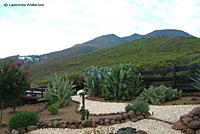 northern pacific rattlesnake habitat