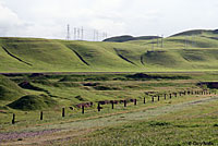 northern pacific rattlesnake habitat