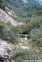 northern pacific rattlesnake habitat