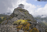 northern pacific rattlesnake habitat