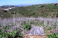 california kingsnake habitat