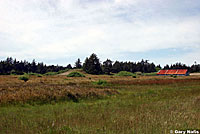 Northwestern Gartersnake Habitat