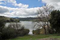 Northern Diamond-backed Watersnake habitat