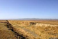 San Joaquin Coachwhip Habitat