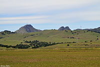 San Joaquin Coachwhip Habitat