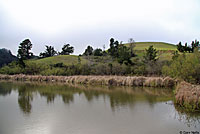 Santa Cruz Gartersnake Habitat