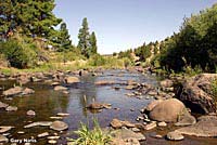 Klamath Gartersnake Habitat