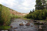 Klamath Gartersnake Habitat