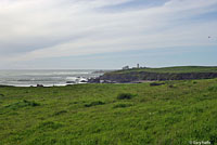 Coast Gartersnake Habitat