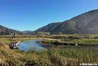 San Francisco Gartersnake Habitat