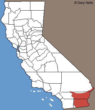 Western Diamond-backed Rattlesnake Habitat range map