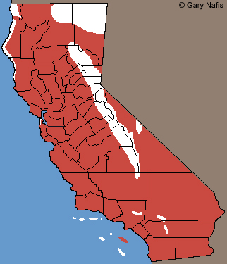 California Kingsnake Range Map