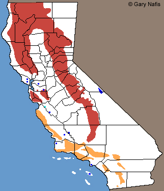 California Mountain Kingsnake Range Map